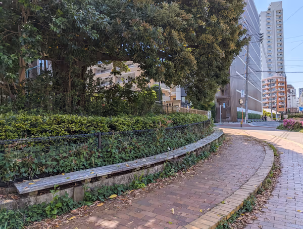 くらやみ坂の写真1