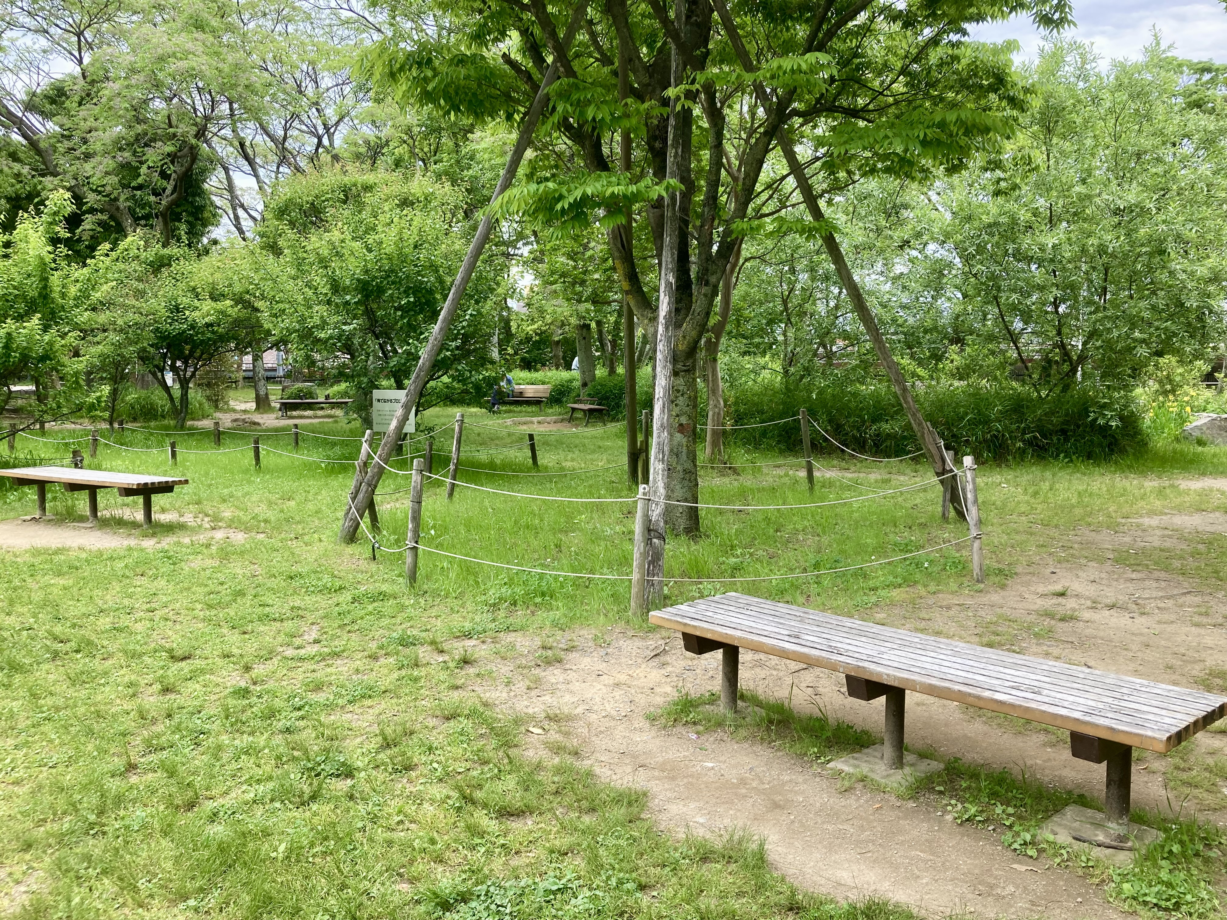 [메이코지 교토니시역] 우메코지 공원 잔디 광장 주변 산책로 쉼터 사진 1