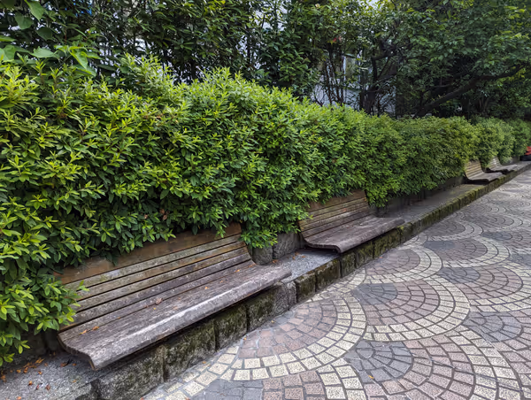 八千代橋−百代橋間の写真3