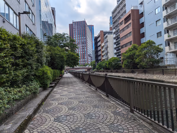 八千代橋−百代橋間の写真2