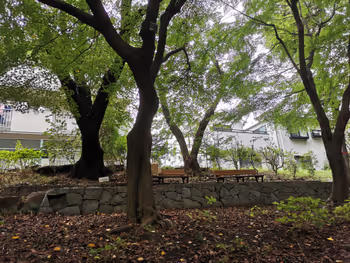 시모타카이도역 타마가와 조스이 에이센지 녹지의 휴식 장소 그 4