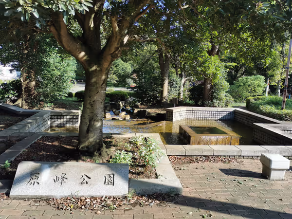 Foto di 原峰公園 6