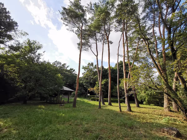 Foto di 原峰公園 3