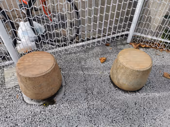 高田馬場駅清水川橋公園の休憩場所その6