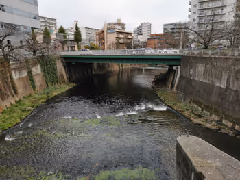Rest area at Gakushūin-shita Station, Takadabashi Bridge and Takato Bridge, Part 2
