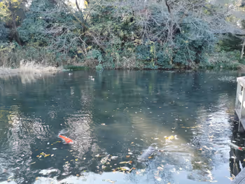 西国分寺站姿见之池的休憩场所其4