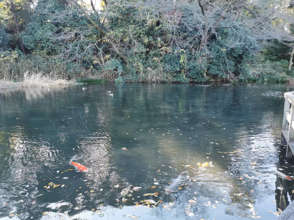 姿見の池の写真4