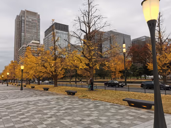 东京站行幸大道的休憩场所其二