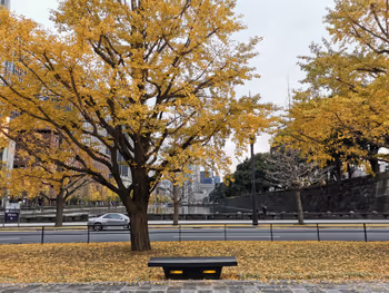 东京站行幸大道的休憩场所其九