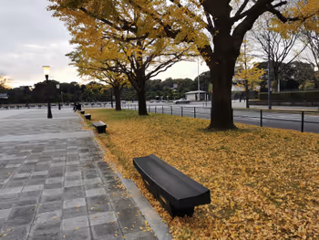 东京站行幸大道的休憩场所其四