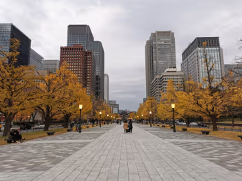 东京站行幸大道的休憩场所其一