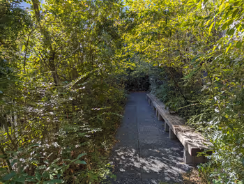 天神南站阶梯花园 ACROS山休憩场所3