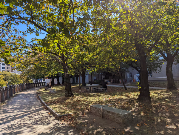 天神中央公園 市役所側の写真5