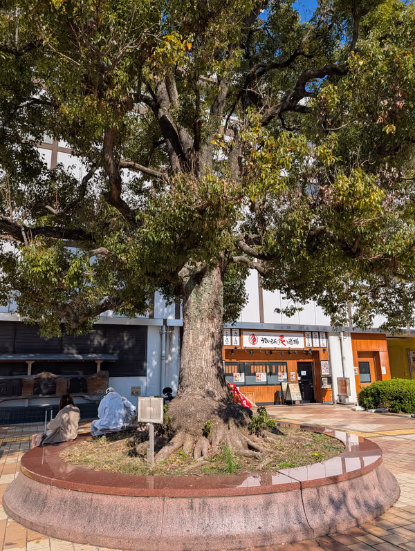 Photo of Shinkiba Station | In front of the rotary 1