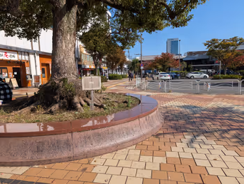 Photo of Shinkiba Station | In front of the rotary 2