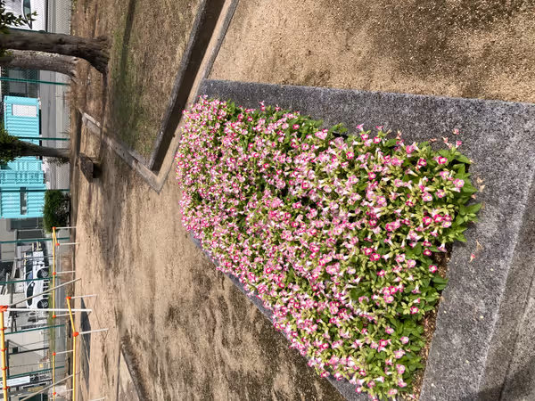 Photo of Kameyama Station | Uenoda Park | Rest Spot 2