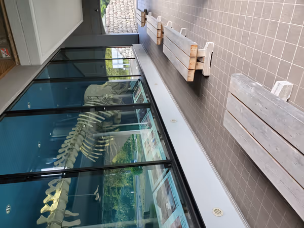 大浦特産品直売所ふるさとくじら館の写真5