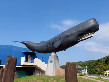 Photo of Oura Specialty Products Direct Sales Center Furusato Kujira-kan | Rest Spot 3