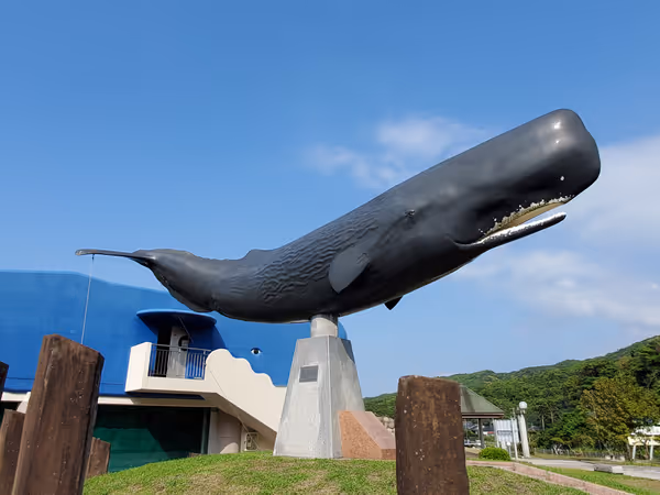 大浦特産品直売所ふるさとくじら館の写真3