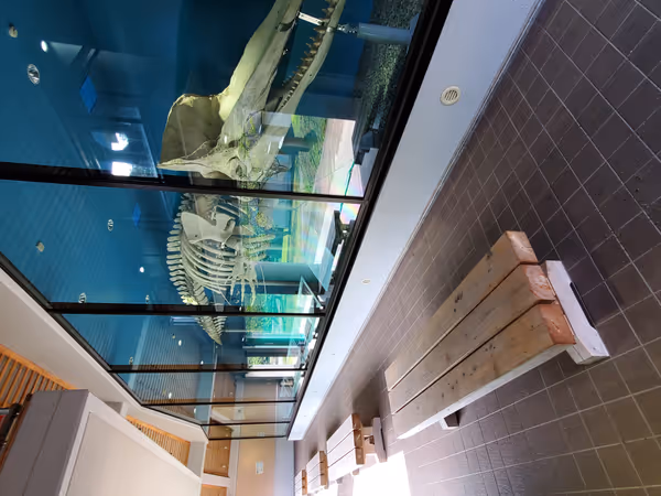 大浦特産品直売所ふるさとくじら館の写真4