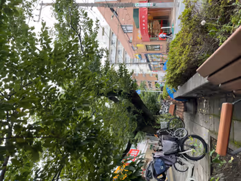 Photo of Nishimagome Station | Magome Cherry Blossom Avenue | Rest Spot 3