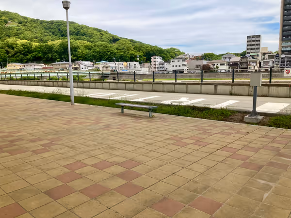 ドラゴンランド(多目的広場周辺)の写真1