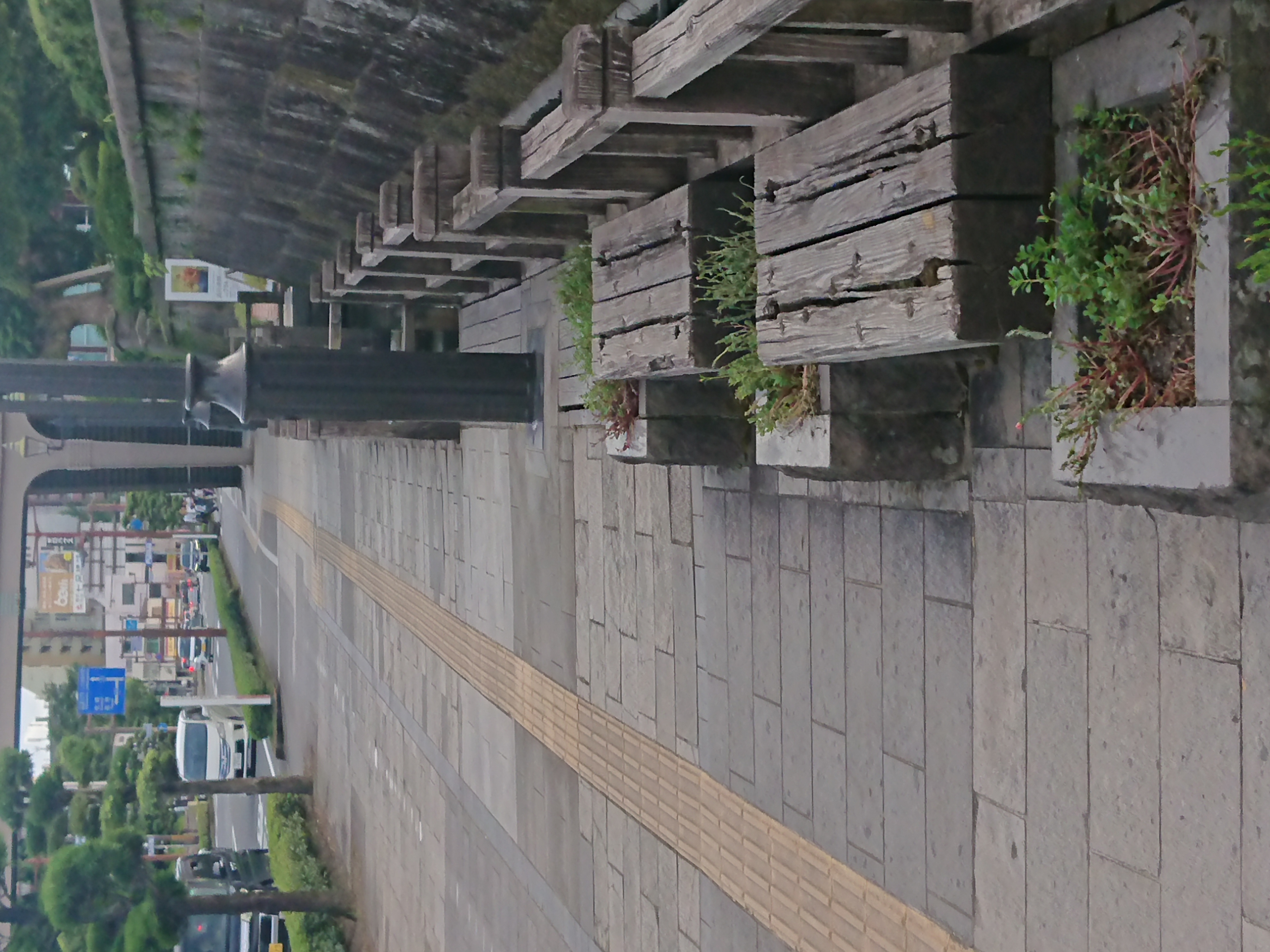 鹿児島市立美術館前歩道の写真1
