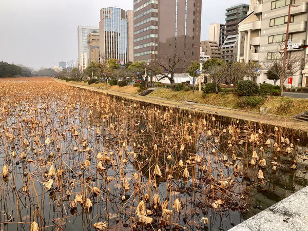 舞鶴公園 お堀端の写真4