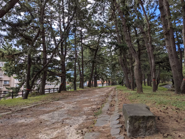Photo of Nishikurosaki Station | Nagasaki Highway, Kururi's Pine Tree Alley | Rest Spot 5