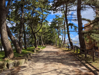 Resting place on the Nagasaki Kaido, Magarikinonmatsu-namiki near Nishi-Kurosaki Station, Part 7