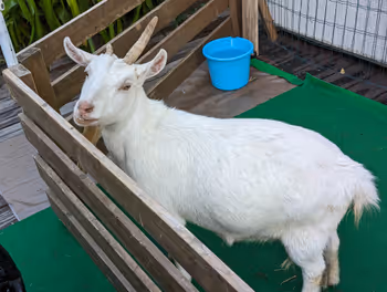 博多站燕子之森广场 屋顶花园的休息区8