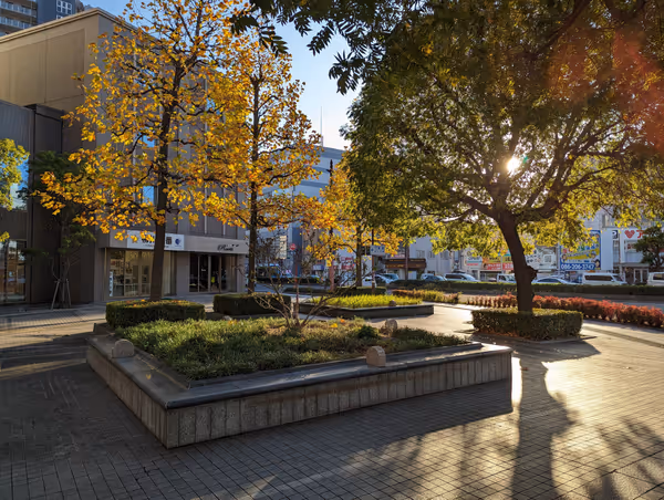 柳川交差点 ハレクロスタワー側の写真3