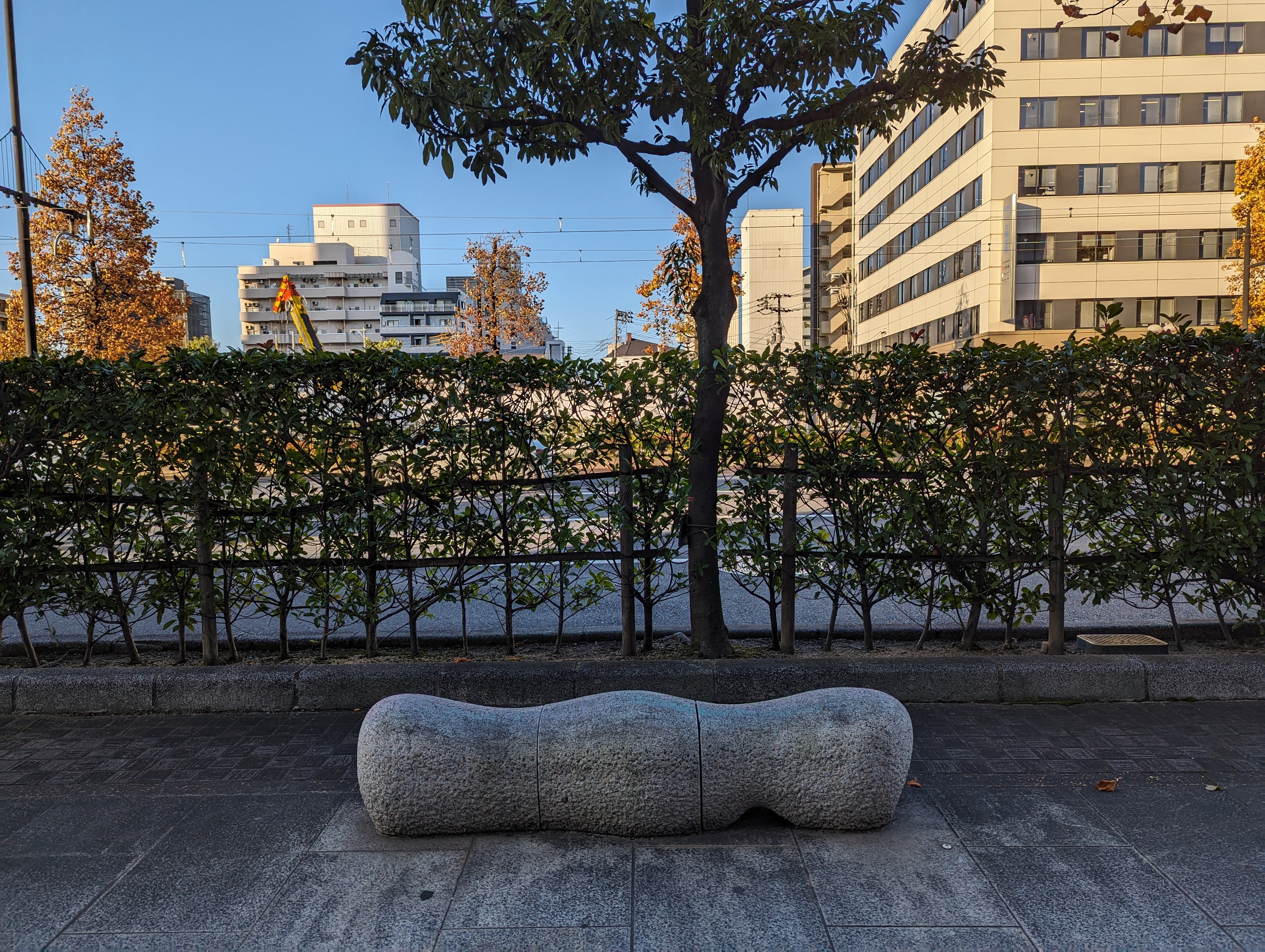 ハレクロスタワー前 歩道沿いの写真1