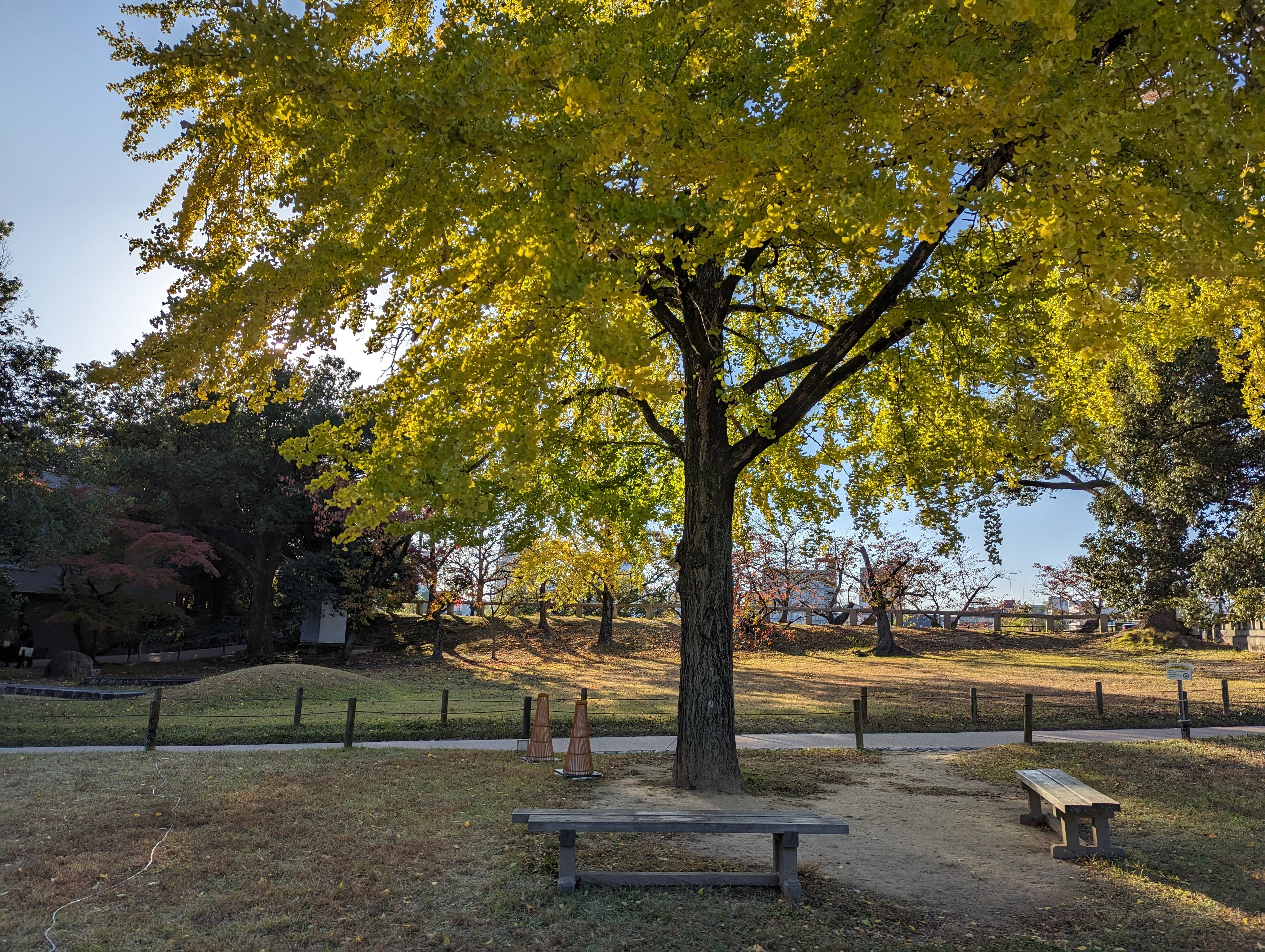 [성하역] 고라쿠엔 버스 정류장·택시 승강장 쪽 쉼터 사진 1