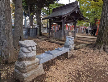 鬼子母神前站鬼子母神猫头鹰长椅的休息场所其二