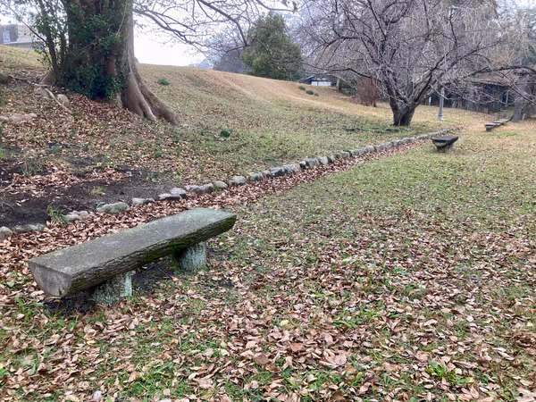 Photo of Ōhori Park Station | Maizuru Park Wisteria Garden | Rest Spot 3