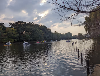 Rest Area 4 at Zelkova Plaza, Shakujii Park, Shakujii-koen Station