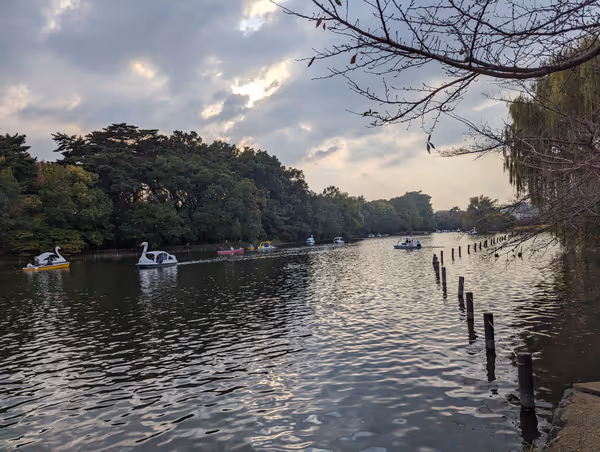 Photo of Shakujii-kōen Station | Shakujii Park Keyaki Plaza | Rest Spot 4