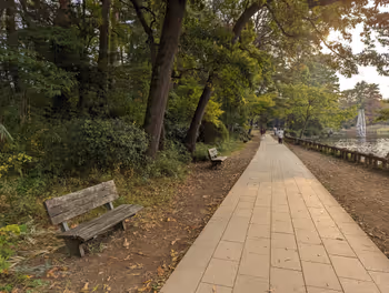 Rest Area 2 at Zelkova Plaza, Shakujii Park, Shakujii-koen Station