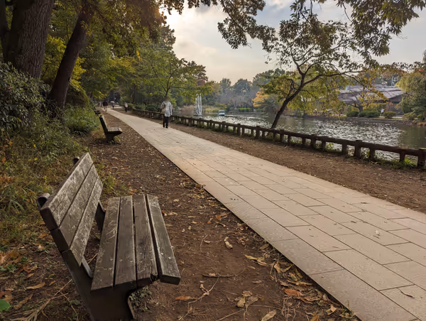 Photo of Shakujii-kōen Station | Shakujii Park Keyaki Plaza | Rest Spot 3