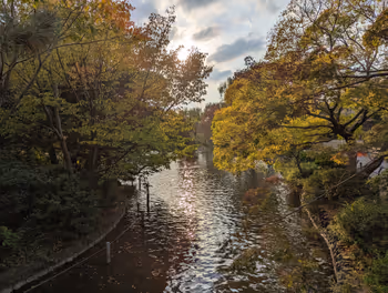 Rest Area 5 at Zelkova Plaza, Shakujii Park, Shakujii-koen Station