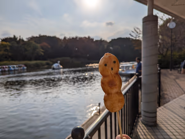 売店・ボート乗り場付近の写真4