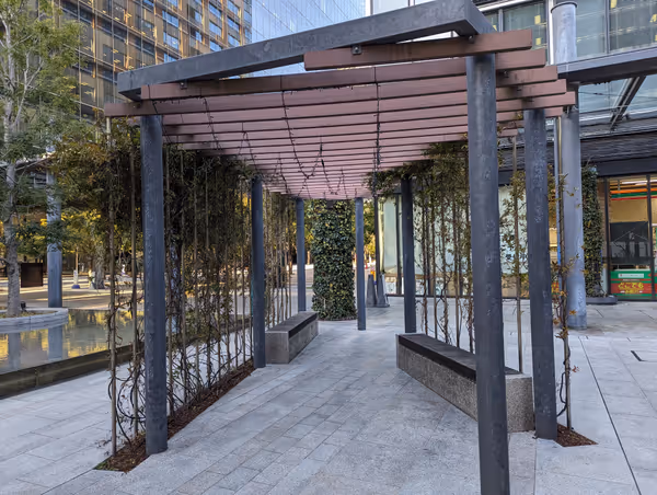 トルクベンチの写真4