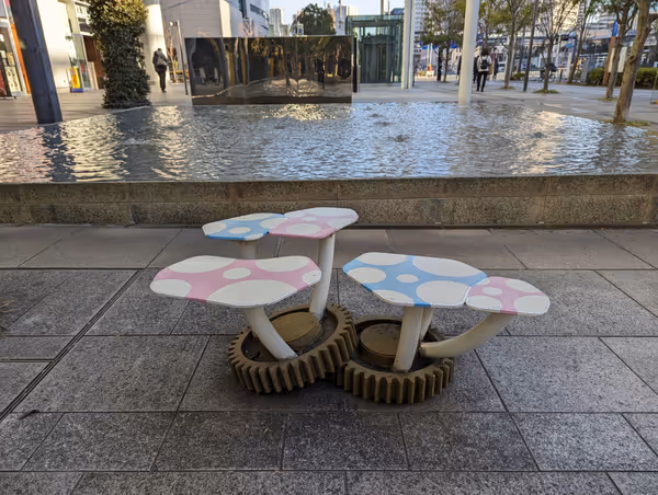 トヨスノコシカケの写真1