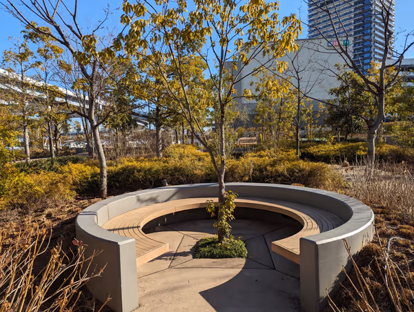 有明ガーデンパークの写真3