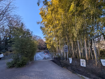 新江古田駅江古田の森公園の休憩場所その4