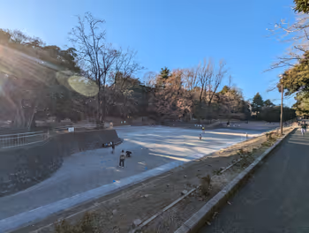 新江古田駅江古田の森公園の休憩場所その5