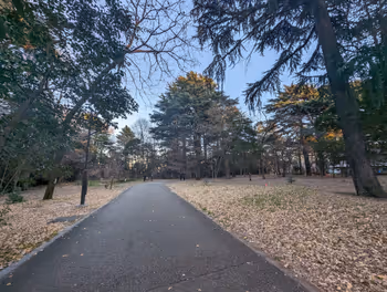 新江古田駅江古田の森公園の休憩場所その3