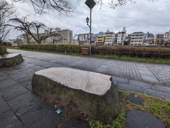 Rest Area near Shichijo Ohashi Bridge, part 3 of the Flower Corridor