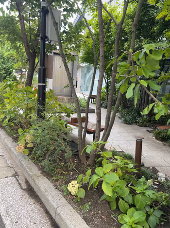 Photo of Kyobashi Station | Kyobashi Daikon Riverbank Hospitality Garden | Rest Spot 2